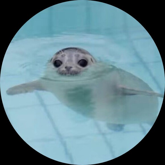 seabear